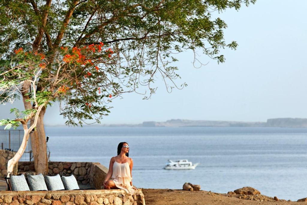 Albatros Sharm Program