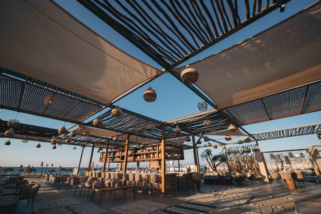 كيند راس الحكمة