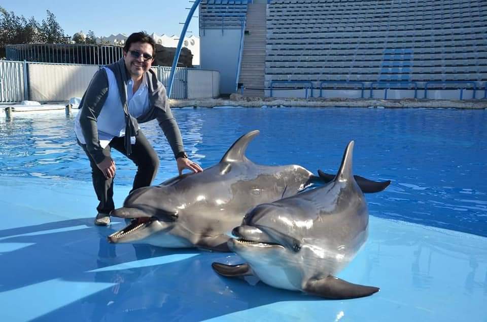 Dolphin Show ( Hurghada )